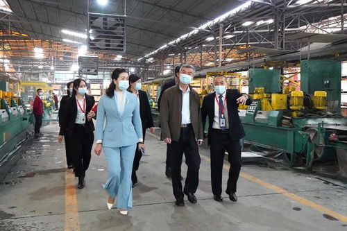 中國建筑衛生陶瓷協會會長繆斌一行蒞臨方向企業參觀交流